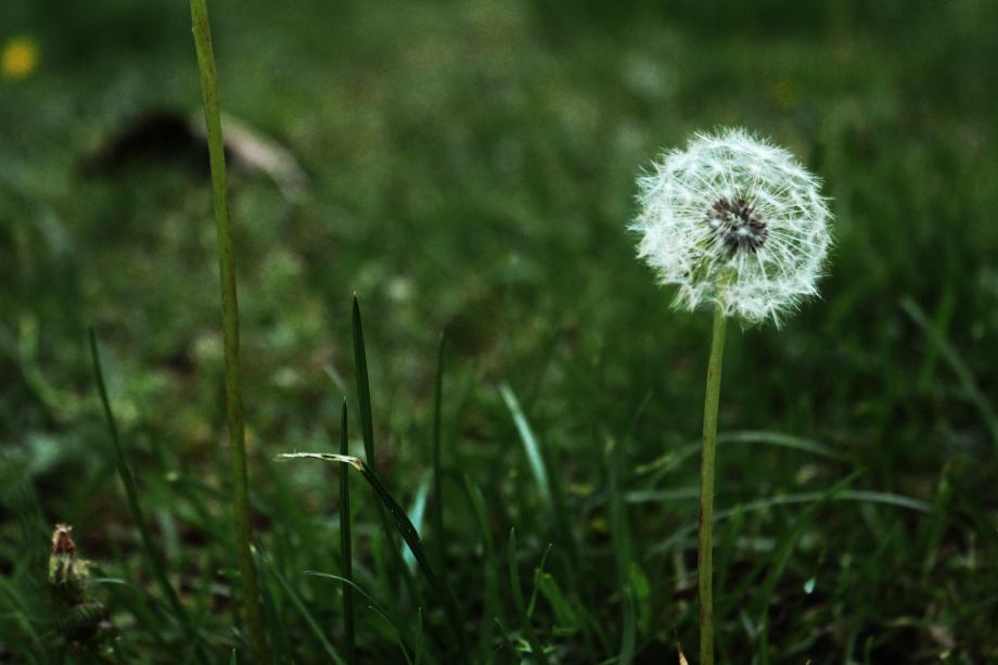 The Fragile
