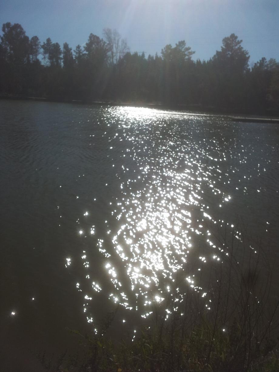 Reflexos Luz e sombra