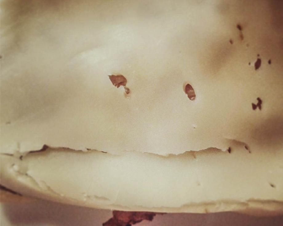 Monstro do queijo Monstro do queijo