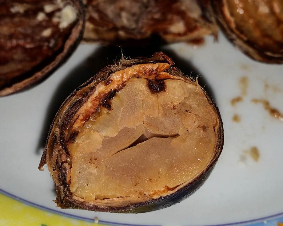 Monstrinho da castanha Monstro da castanha