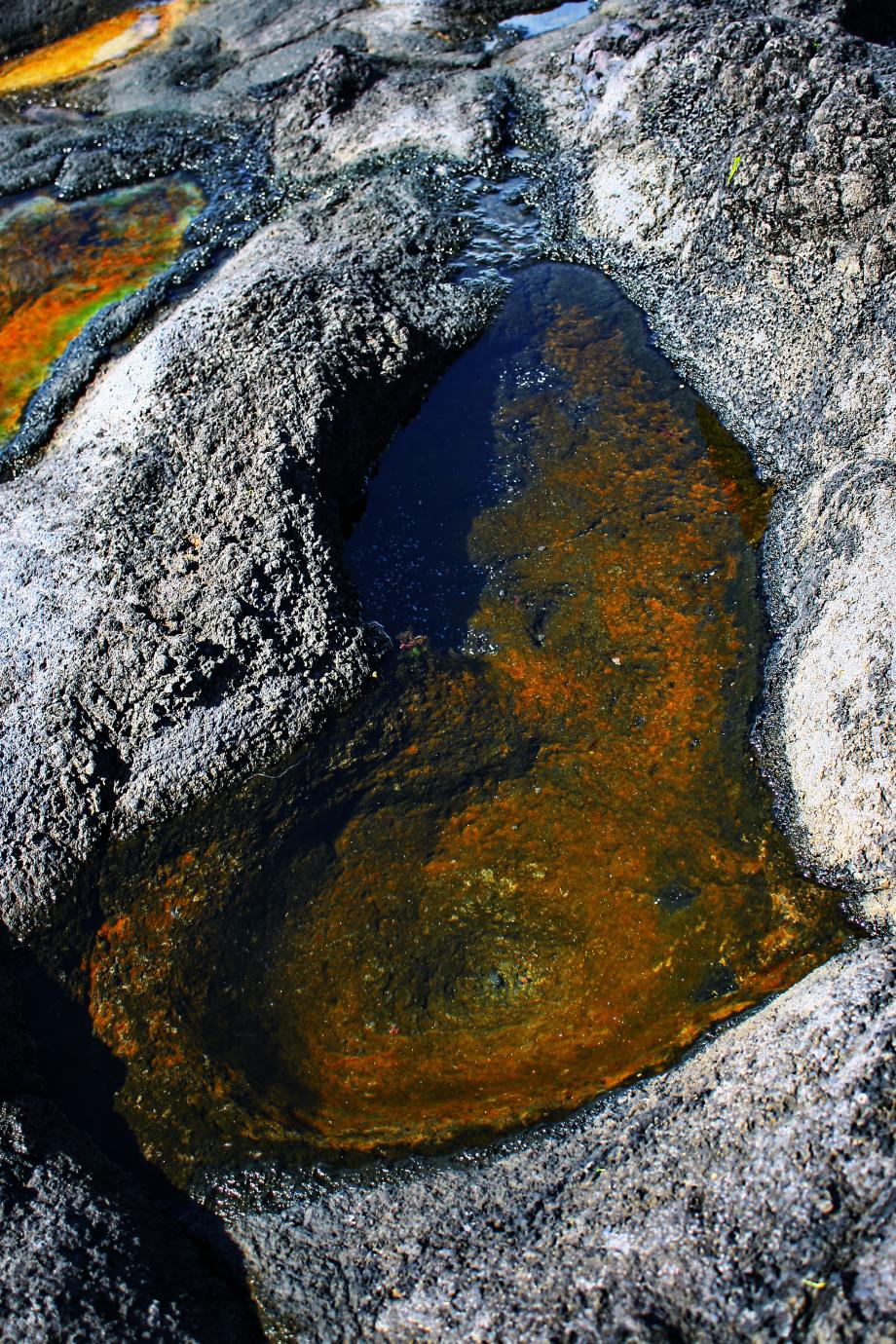 Porque as pedras também falam...