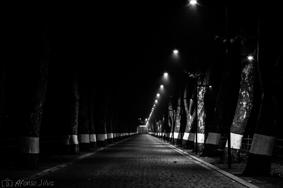 A luz que ilumina