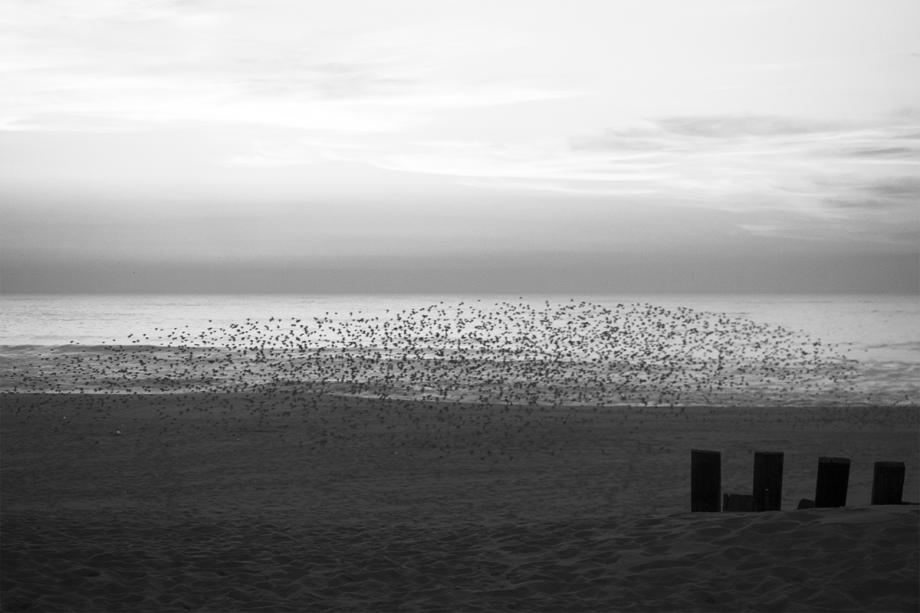 A minha praia