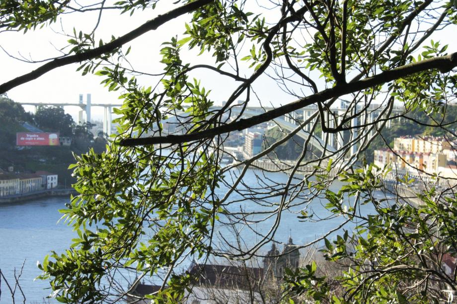 Vistas do Porto Palácio de Cristal