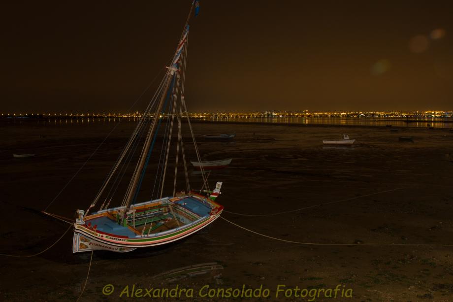 Asleep/ADORMECIDO