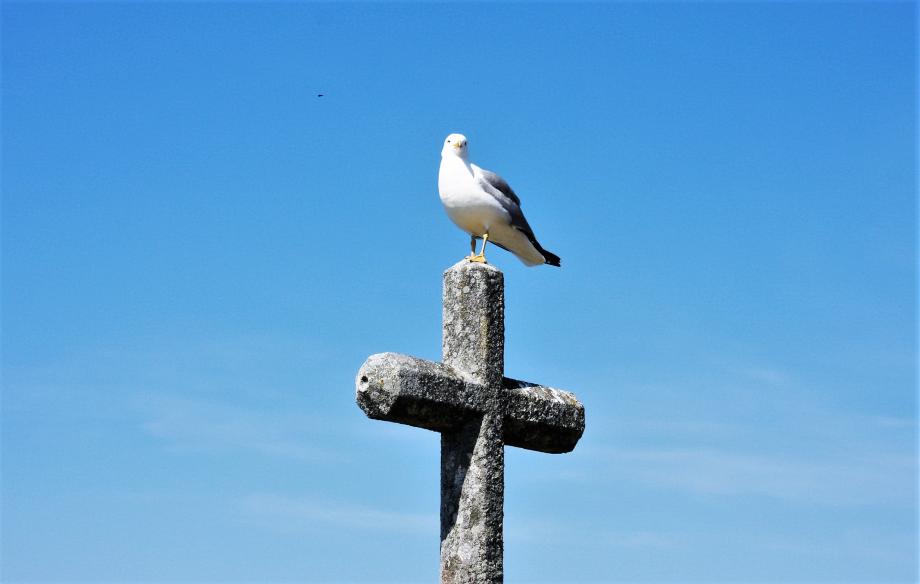 Expect Expect foto de Joaquim Prendas