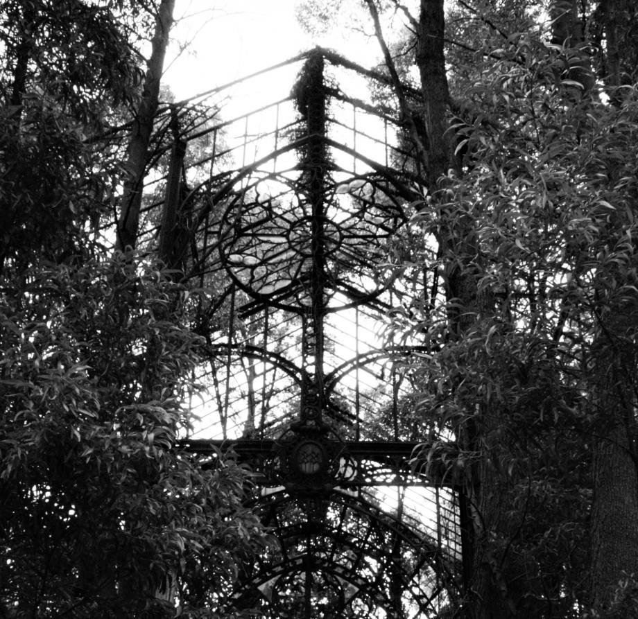 Jardim da Lavandeira