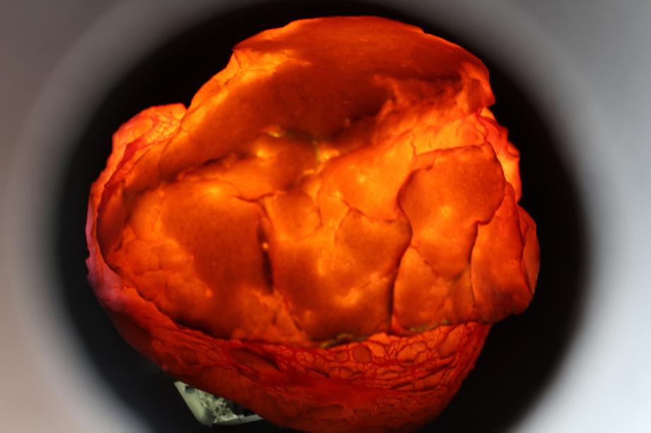 cósmos de cláudia furtado