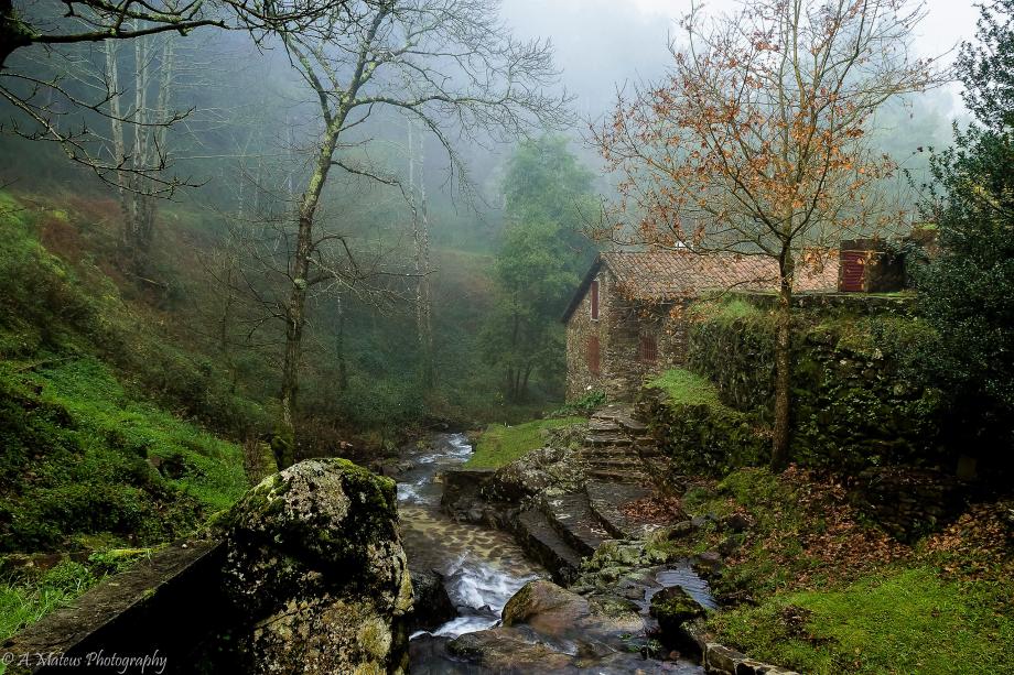 Ribeira de Tábuas Ribeira de Tábuas