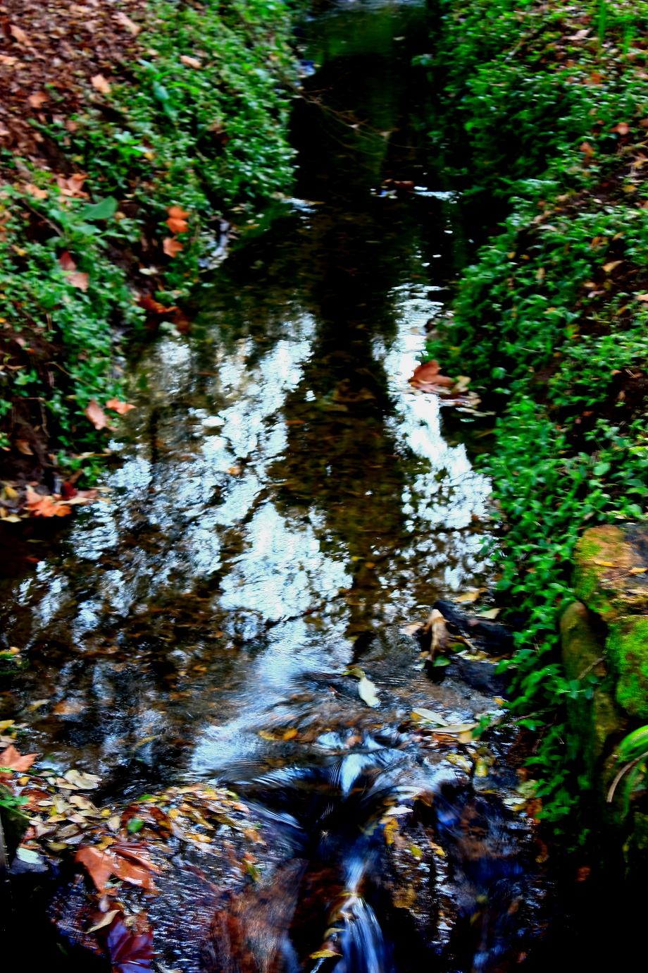 Jardim da Lavandeira