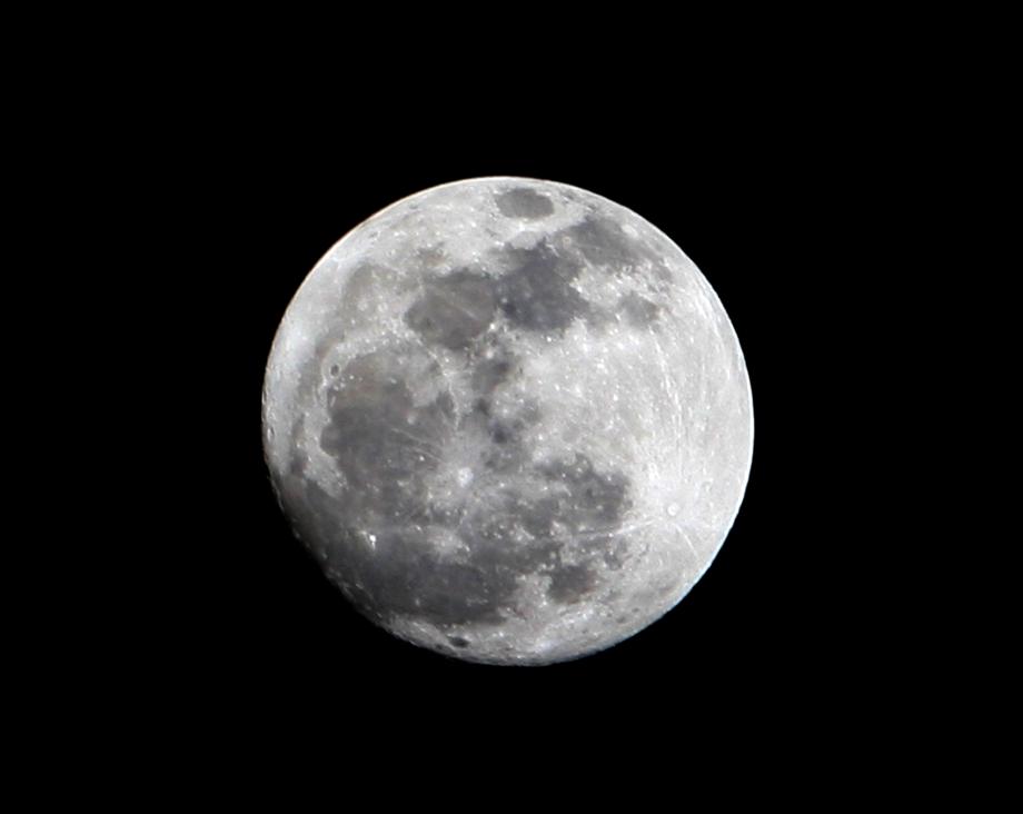 Criadora de marés Moon