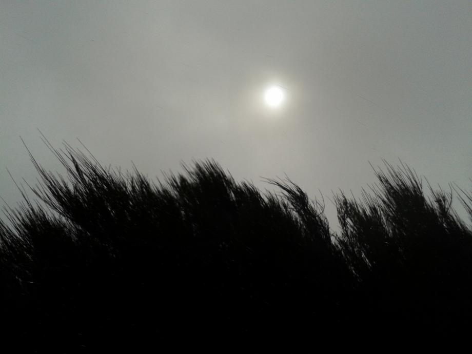 Natureza crua