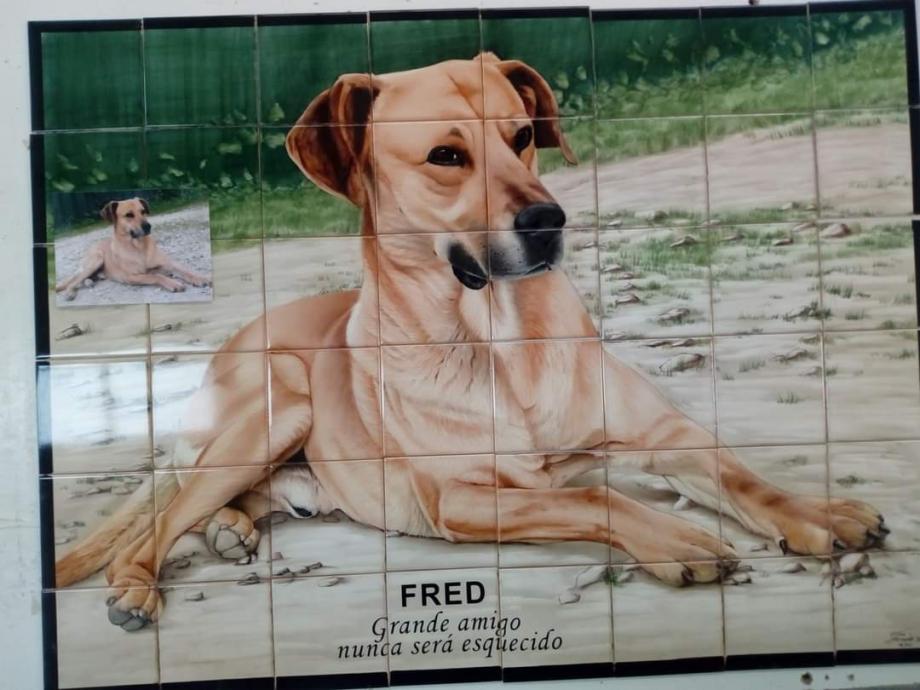 Hand painted tiles with client dog Azulejos pintados à mão com retrato de cão