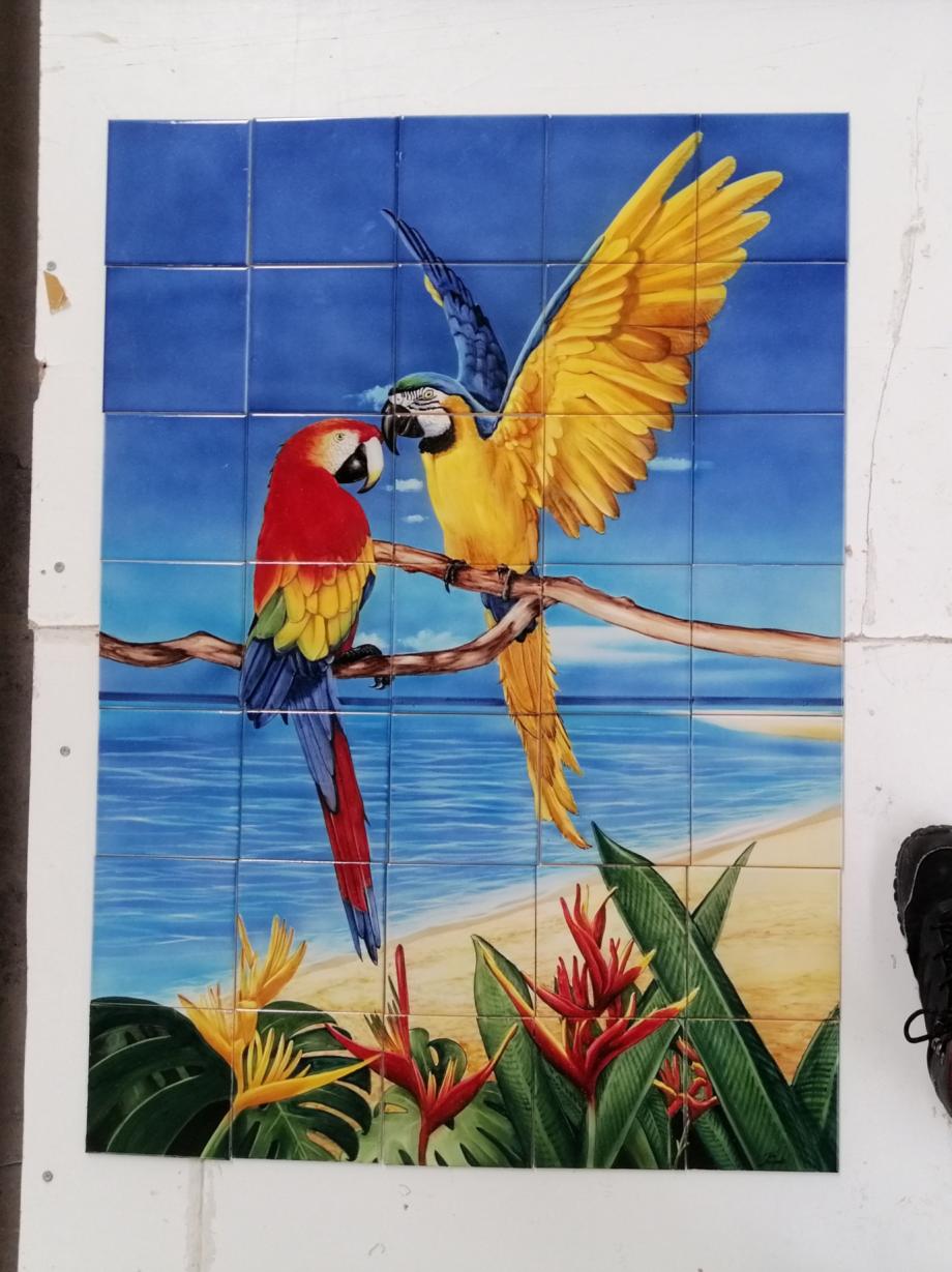 hand painted tiles with birds Aves pintadas à mão em azulejo