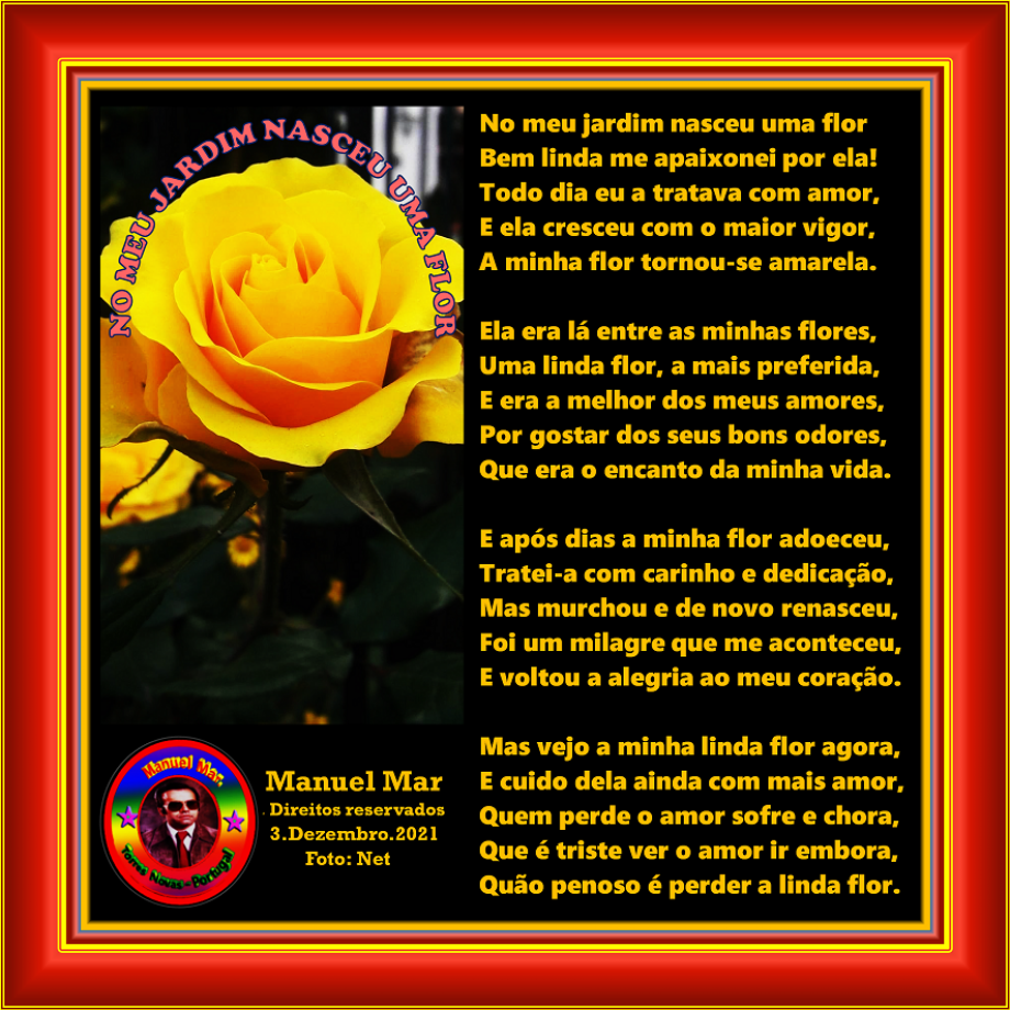 NO MEU JARDIM NASCEU UMA FLOR
