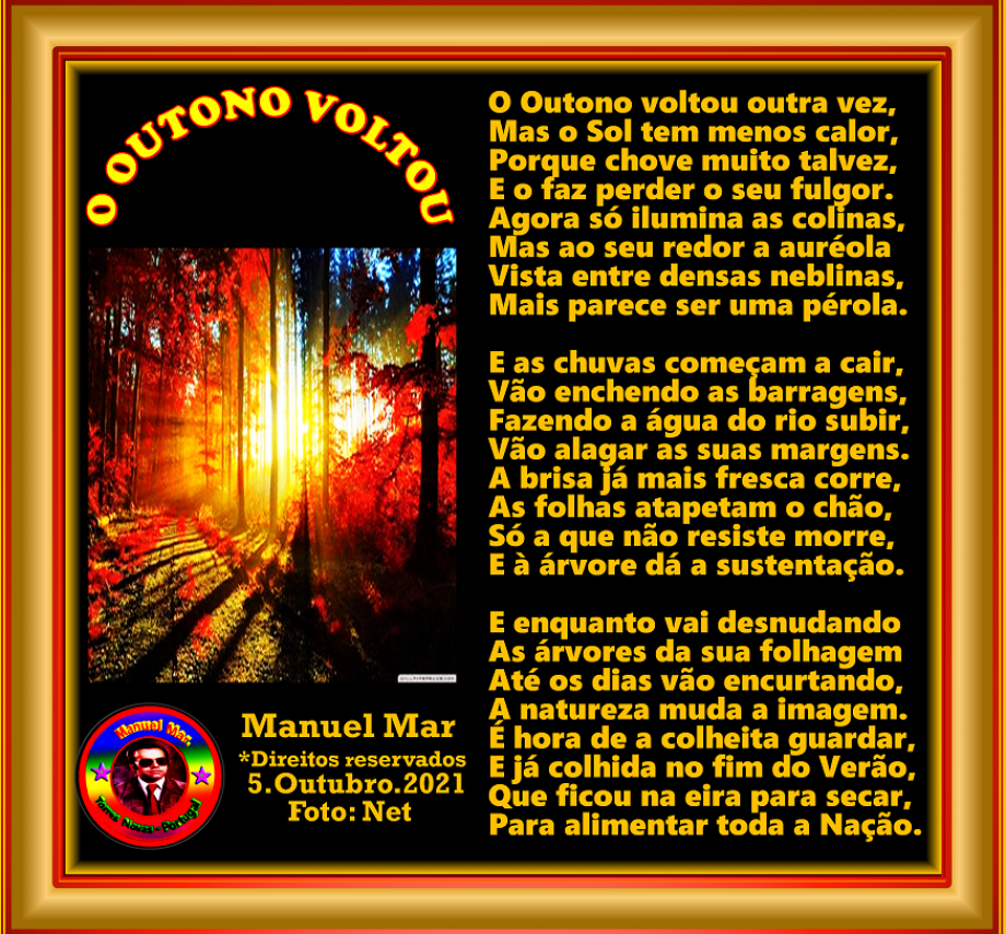 O OUTONO VOLTOU O OUTONO VOLTOU