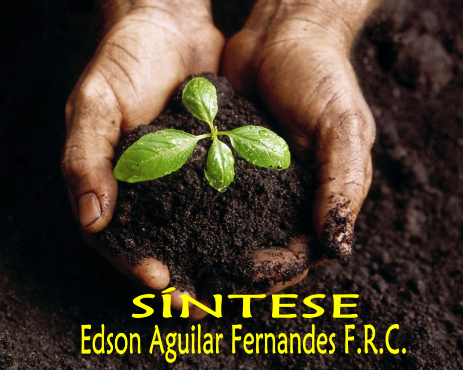 SÍNTESE