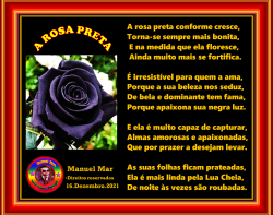 A ROSA PRETA