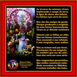 AS ÁRVORES DA NATUREZA