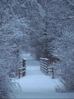 O dia amanheceu cinzento, mas de uma tonalidade tão marcante que até ele mesmo não se reconheceu. mesmo se 