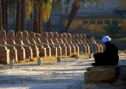 A História é o espelho de ontem procurando o amanhã