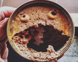 Cat's Food Monster monstro na comida de gato