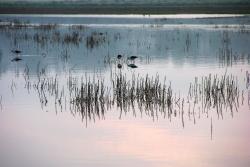 Amanhecer na Lagoa dos Salgados - Algarve
