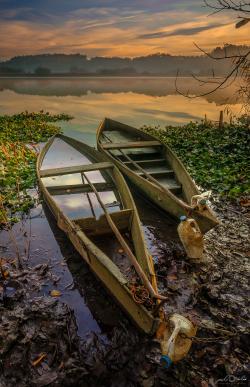 Pateira de Fermentelos