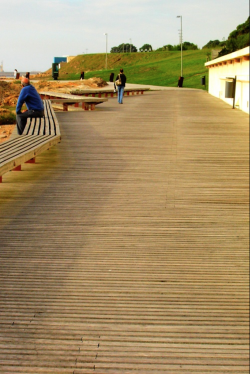 vanessa jorge architect