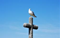 Expect foto de Joaquim Prendas