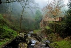 Ribeira de Tábuas Ribeira de Tábuas