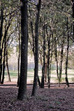 Parque da Lavandeira