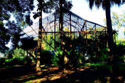 Jardim Da Lavandeira