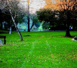 Jardim Da Lavandeira