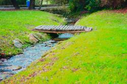 Parque da Lavandeira