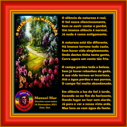 O SILÊNCIO DA NATUREZA