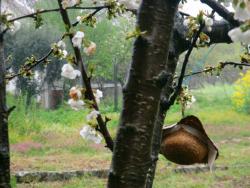 poesia, sentido, sentimento, vida, dias