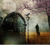 Yolanda Silva's picture Yolanda Silva's picture