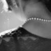 Cristina Antunes's picture
