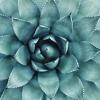 Vitorina Rodrigues's picture